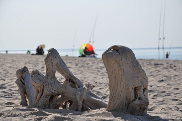 Zdjęcie plaży w oddali kolorowy parasol w kształcie koła